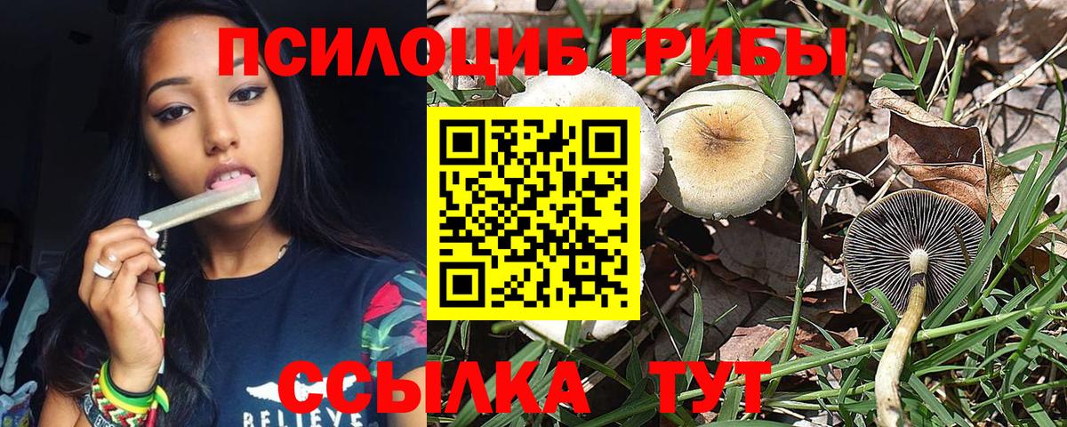 Галлюциногенные грибы ЛСД  Галлюциногенные грибы прущие грибы  Вход с VPN  Тобольск 